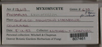 Image Associated With the Occurence